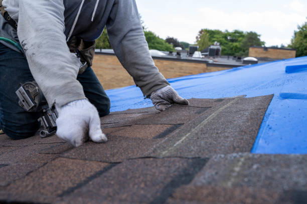 Professional Roofing Contractor in Somerset, KY